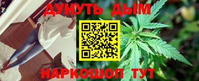 крисы Анапа
