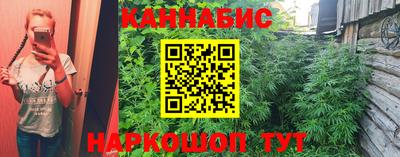 трава Анжеро-Судженск