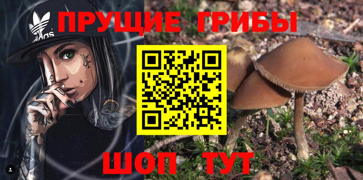 Галлюциногенные грибы GOLDEN TEACHER  Вход с VPN  Псилоцибиновые грибы Cubensis  Губаха 
