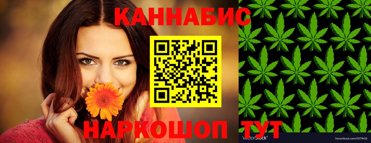 Шишки марихуана марихуана Губаха